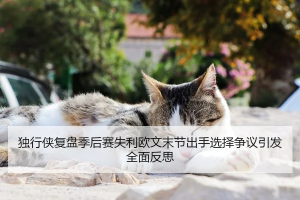 独行侠复盘季后赛失利欧文末节出手选择争议引发全面反思